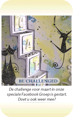 Doe mee aan onze Facebook Be Challenged opdracht